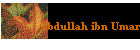 Abdullah ibn Umar